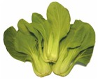 Schang-hai pak-choi